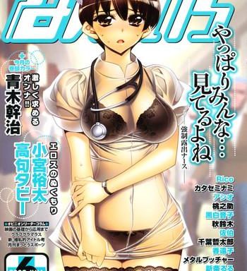 manga bangaichi 2009 06 cover