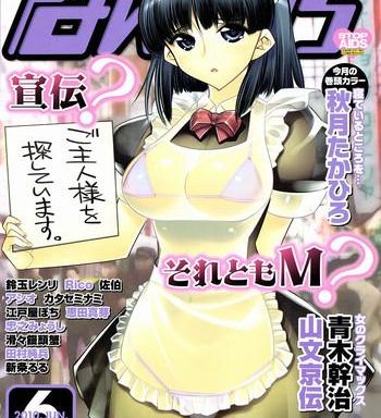 manga bangaichi 2010 06 cover
