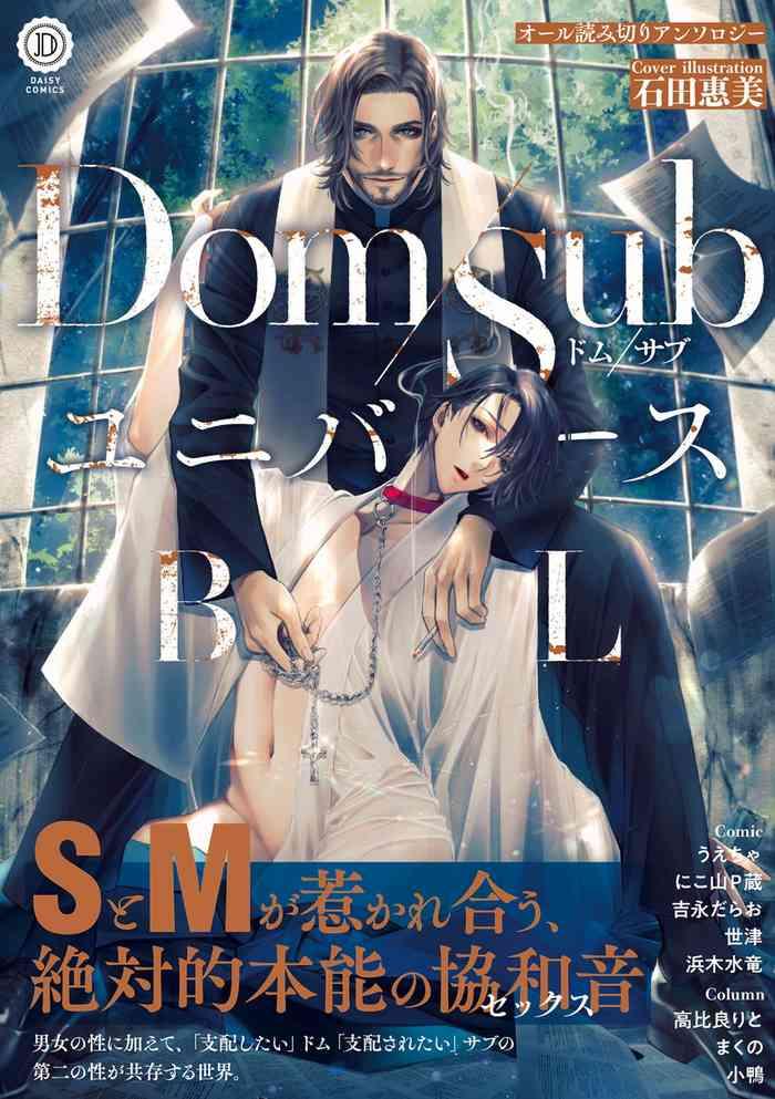 dom sub universe bl cover