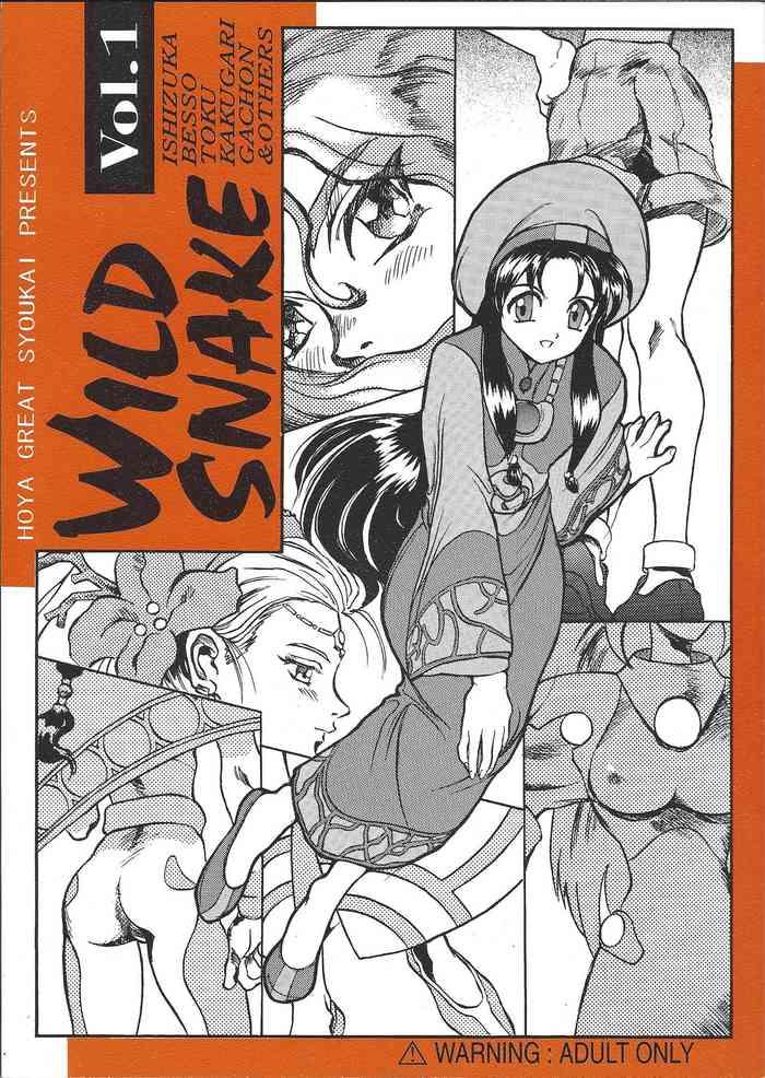 wild snake vol 1 cover