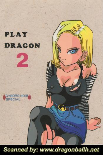 play dragon 2 cover