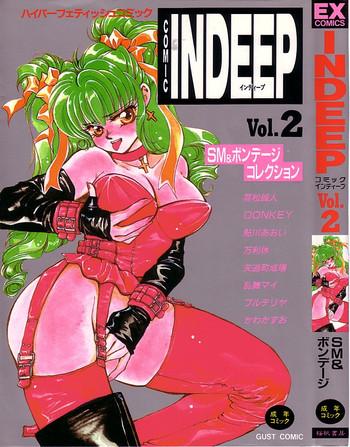 indeep vol 02 cover