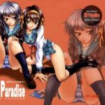 ns paradise cover