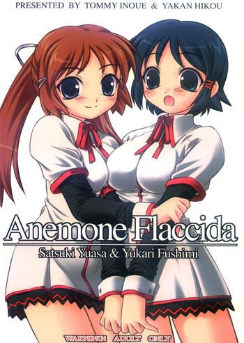 anemone flaccida cover