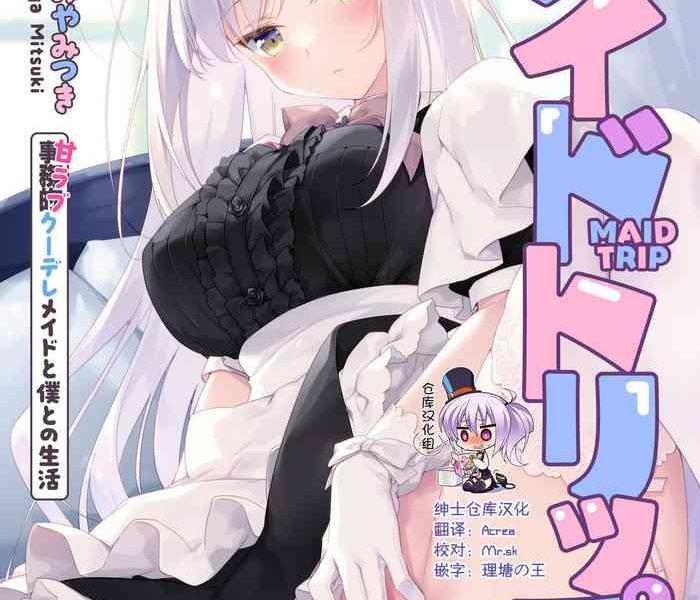 maid trip cover