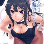 c95 oretachi misnon ikka suhara shiina sasuga buta yarou ne gyokusai kakugo na omake hon cm95 seishun buta yarou wa bunny girl senpai no yume o minai cover