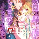 ky koku no kishi sama kara etchina kotoba ga tomarimasen tsu cover