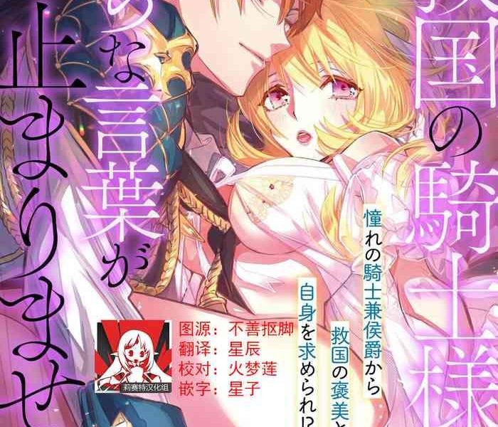 ky koku no kishi sama kara etchina kotoba ga tomarimasen tsu cover