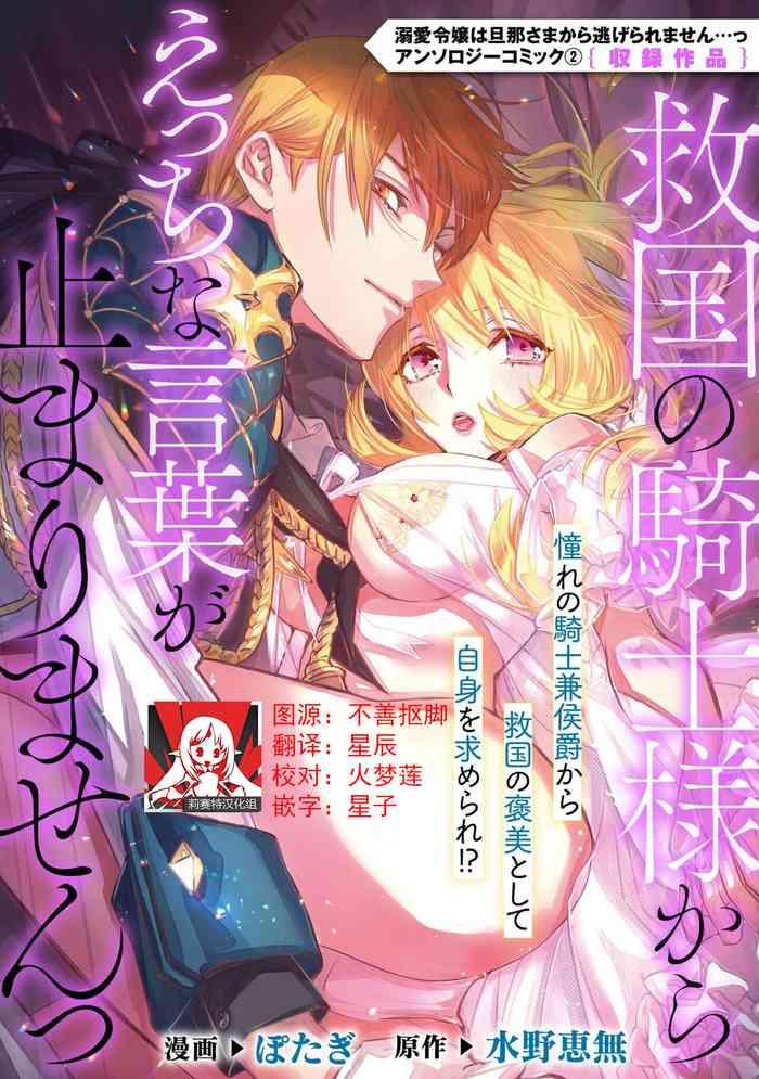 ky koku no kishi sama kara etchina kotoba ga tomarimasen tsu cover